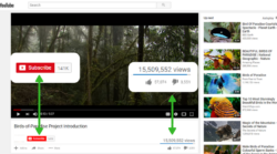 how to buy YouTube views